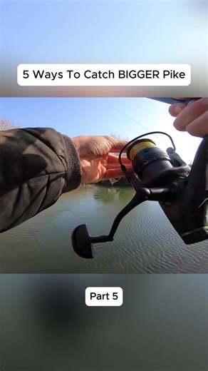 5 Effective Tips for Catching Bigger Pike