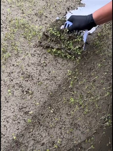 Would you even try to clean this… or give up?This is what “zero wash” really looks like. | Restore Lab Garage