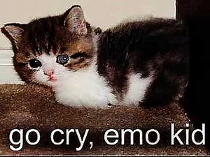 Virtualdub - Choosing Audio and Video Compression Options