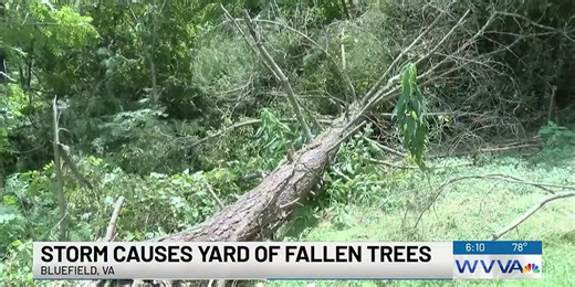 Storm causes yard full of fallen trees for Bluefield, VA, family