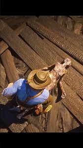 Hidden Gold & Catherine’s Brooch Location in RDR2 #RDR2
