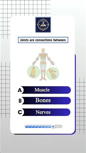Joints and Connectivity in the Human Body | Quick Science Short