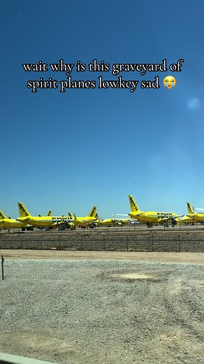 Lowkey Sad: Spirit Airlines Plane Graveyard Reflection