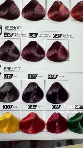 Bremod All Shades: Your Ultimate Color Guide