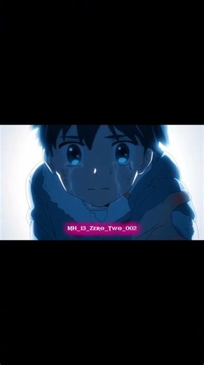 Zero Two x Hiro ❤️