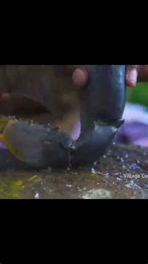 village cooking channel #foryou #viral #video#cookingvideos #growmyaccount