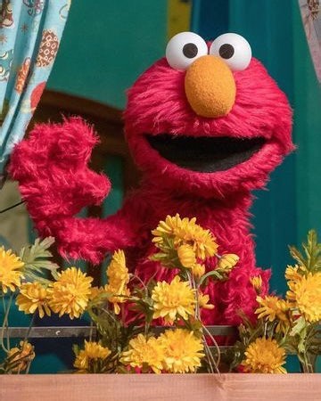 Personalized Elmo Birthday Video
