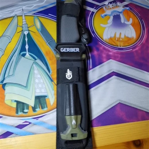 New Gerber knife with ferro rod #newknife #camping #survival #hiking #fishing #gerberknives