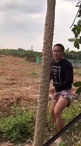 284K views · 1.8K reactions | Take a moment from your day to join us on a journey with our leafy friend in the captivating 'poor tree. mp4'. Unwind with the gentle sway of branches and the soothing rhythm of nature. A calming, yet engaging tale awaits, captured frame by frame in this whimsically titled gem. Get tangled in the roots of our story, you won't 'leaf' disappointed! | Wing Chun | Facebook