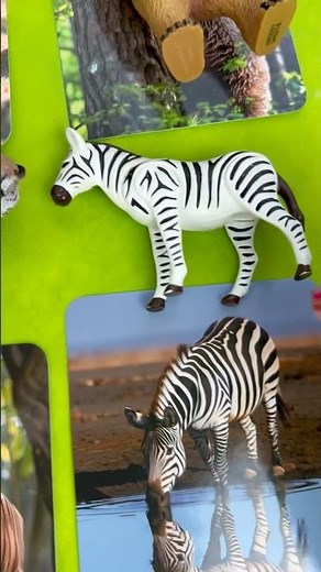 Zoo Animal Names for Kids Babies! #learnanimalnames