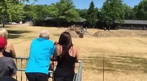 43 reactions | Boom! Final day of the Encampment! Ongoing musket and cannon firing as history is interpreted and shared about the French & Indian War. Arrive by 1:30 today for the final battle at 2pm. | Old Fort Niagara | Facebook