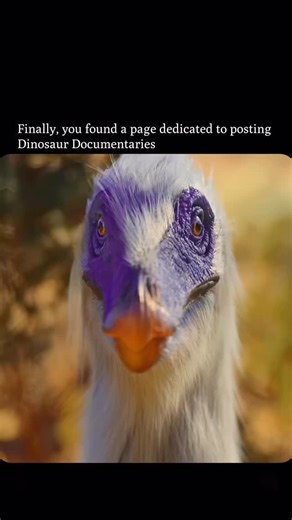 ⏰ 𝗙𝗼𝗹𝗹𝗼𝘄 𝘁𝗼 𝗴𝗼 𝗯𝗮𝗰𝗸 𝗶𝗻 𝘁𝗶𝗺𝗲 on Instagram: "Sixty-six million years ago, this Arkansaurus wasn’t having the best day. It had been spotted by three Deinonychus lurking nearby. Arkansaurus was a herbivore that usually relied on its incredible speed to survive — but these Deinonychus were 10–13 feet long, built for running, and had been planning this hunt. With razor-sharp sickle claws that could tear through flesh, they took turns sprinting to wear their prey down. Overheated an