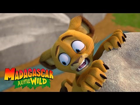 Alex Gets Lost in the Wild | MADAGASCAR A LITTLE WILD