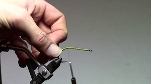 Jan's Pyramid Tui Chub