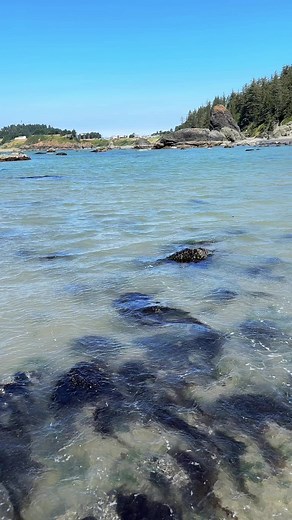 Battle Rock Wayside Park: A Serene Slice of Oregon Coast Beauty