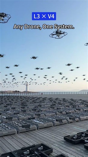 Two kinds of drones can work in one system!