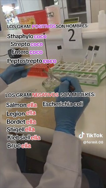 Understanding Microbiology in Clinical Laboratory: Gram-Positive vs. Gram-Negative Bacteria