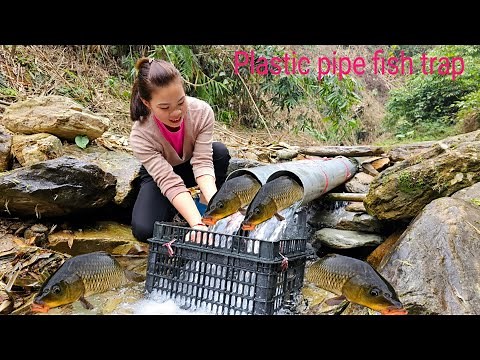 Simple way to trap fish with PVC pipe. Surprisingly effective. | Ana fishing