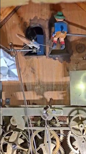 Inside a Vintage Cuckoo Clock #shorts #cuckooclock #bellows #blackforest #clockwork #mechanism