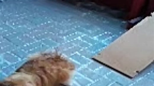 Видео Easy way to step down... | OK.RU