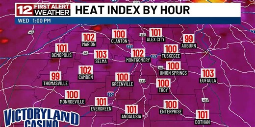 First Alert: Uncomfortable heat & humidity expected this week. See what you need to know!