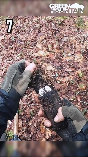 Top 10 Metal Detecting Finds of 2024!