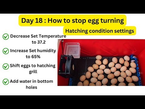 Day 18 : How to stop egg turning | Hatching settings change | 50 egg incubator fully automatic
