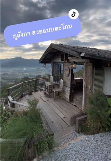 Magic Mountain Cafe ภูลังกา อ.ปง จ.พะเยา การมาเยือนที่ดูเรียบง่ายแต่สวยแบบตะโกนมาก #ดีต่อใจ #ธรรมชาติฮีลใจ #travelinthailand #เที่ยวเมืองไทย #ภูลังกา
