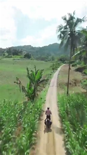 simponi place #trail #motocross #adventure