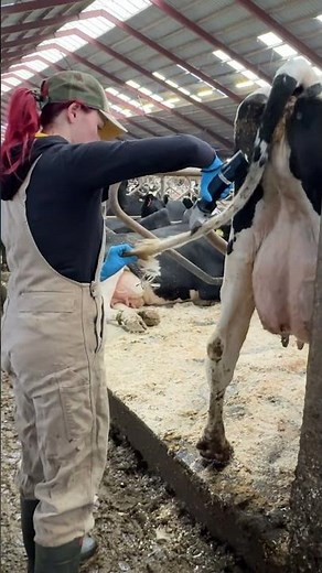 This Level of Farm Work Will Surprise You 💪