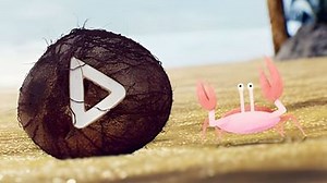 Tropical Adventure Logo (20 Second Version) | Renderforest