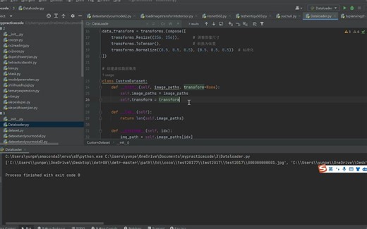 utils.Dataloader方法以及os.listdir(data_dir)以及创建dataloader读取并打印路径下的图像