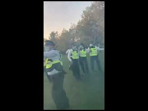 BOB MARLEY - STAND UP FOR YOUR RIGHTS