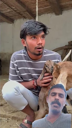 Building Wooden Log Cabin in Forest Survival House Step by Step"🤓🤓🤓👹