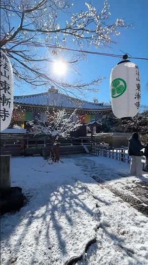 雪に覆われている小金東漸寺、素敵なお寺さん、私は社寺が大好き❣️とてもきれいです。お時間のある時にぜひご参拝ください #あけおめ #浄土宗 #buddhisttemple #matsudo #お経