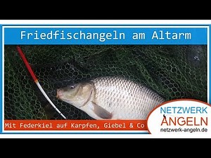 Angeln wie früher: Friedfischangeln mit der Federkiel-Pose
