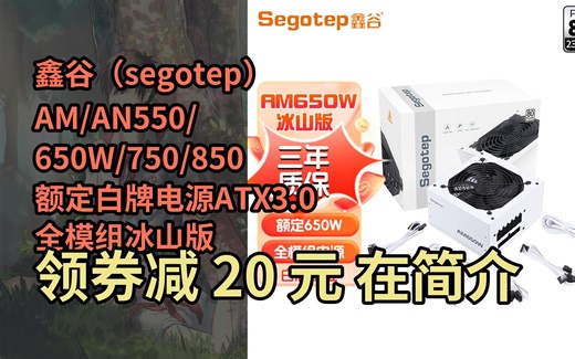 【限时券】鑫谷（segotep）AM/AN550/650W/750/850额定白牌电源ATX3.0全模组冰山版 鑫谷白牌全模AM650W 冰山版