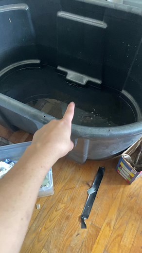 Moving a Snapping Turtle: Tips and Tricks