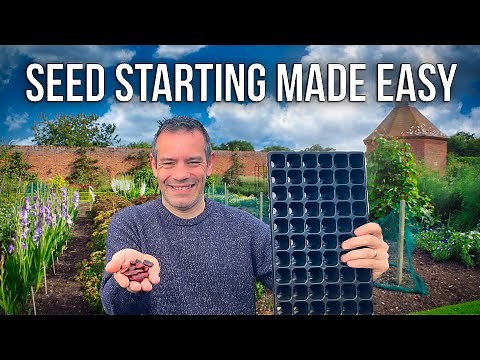 The #1 Mistake When Starting Seeds (Fix This!)
