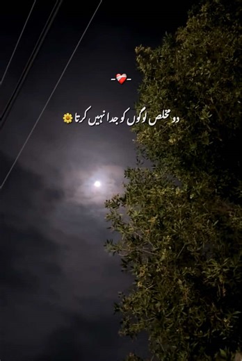 Hazrat Ali (RA) Quotes on Love & Relationships