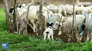 Amazing China. Great Places. China is all here. Like us on Facebook! | Xinhua Culture&Travel