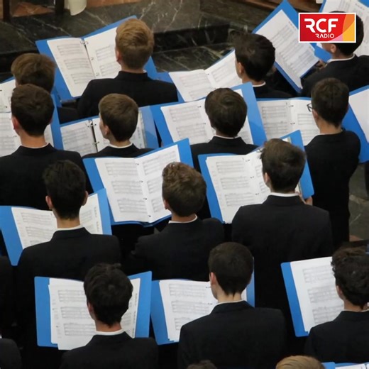 ✨ J-7 avant notre Grand concert RCF Sarthe par l'Académie Musicale de Liesse !! 🎻 RDV jeudi 27 novembre à 20H30 à l'église Sainte-Croix au Mans. 👉Soutenez votre radio chrétienne en prenant vos places dès maintenant via : https://www.helloasso.com/associations/medias-chretiens-en-sarthe-rcf-le-mans/evenements/concert-de-l-academie-de-liesse-avec-rcf-sarthe La joie se partage !! Eglise catholique en Sarthe Diocèse du Mans Académie Musicale de Liesse #concert #RadioDon #musique | RCF Sarthe