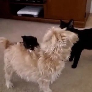 46K views · 1.1K reactions | What kind of sorcery is this? Is this a...