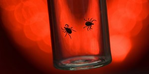 Doctors Reveal the Common Lyme Disease Symptoms You Shouldn’t Ignore