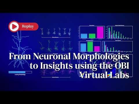 From Neuronal Morphologies to Insights using the OBI Virtual Labs | Open Brain Institute Webinar #3