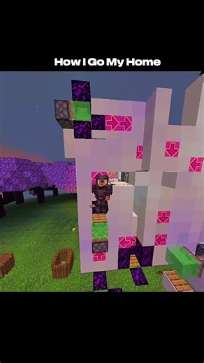 How I Go My Home #minecraft #mmgamer