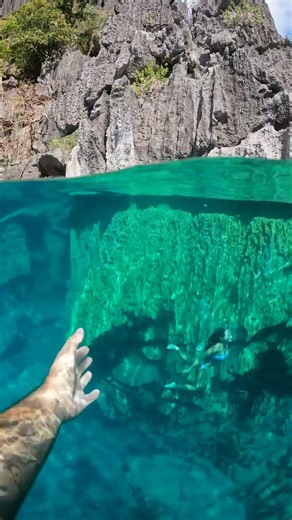 Barracuda lake - Palawan | The Philippines