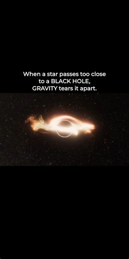 Tidal Disruption Event Near a Black Hole