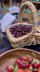 Rosa Mosqueta 🌿✨ este mes es la protagonista en Australis Herbolaria. Es una planta súper valorada tanto en el mundo cosmético 💆‍♀️ como en la herbolaria 🌱, sobre todo por sus propiedades antioxidantes 💛 y por ser una alternativa natural muy práctica para sumar a tu rutina diaria. Puedes incorporarla fácil: mézclala en yogur, batidos o jugos 🥤🍓, o úsala en preparaciones caseras como mermeladas y repostería en general 🍯🍰✨. Revísala en www.australisherbolaria.com 🛒✨ y aprovecha de mirar t