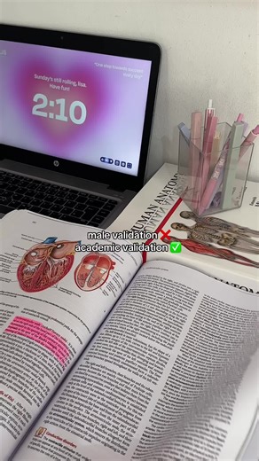 my fav WEBSITE atm 🫶🏻 #studytok #solvelyai #studyapp #studytips #flashcards